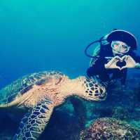 Embracing nature under the sea 🐢 