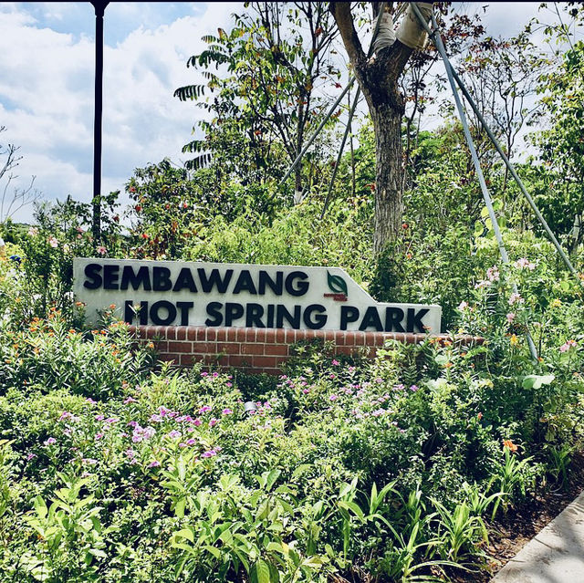 Visit to Singapore 🇸🇬 Neighborhood Sembawang Hot Spring Park