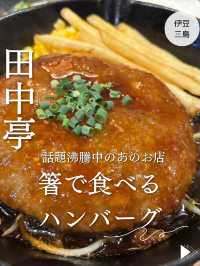 【伊豆三島】予約で一杯✨コスパ良し⭕️とろけるハンバーグ、ステーキ