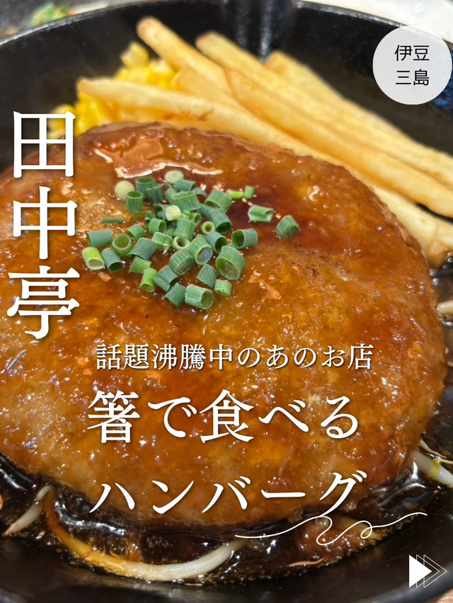 【伊豆三島】予約で一杯✨コスパ良し⭕️とろけるハンバーグ、ステーキ