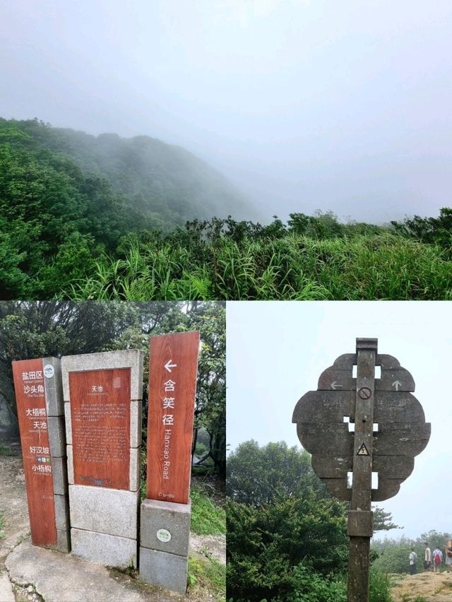 🇨🇳 Bitong Hiking Trail 碧桐道 📍 Wutong Mountain, Shenzhen 