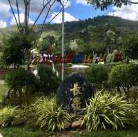 Unique and Relaxing Experience