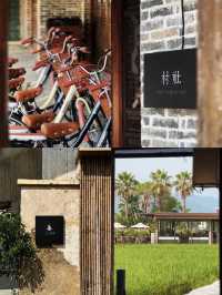 香港周邊游｜歸隱田園🌾清遠稻田咖啡館+餐廳