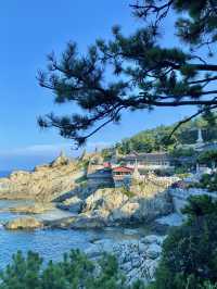 부산여행의 필수코스 기장 가볼만한 곳 해동용궁사💚