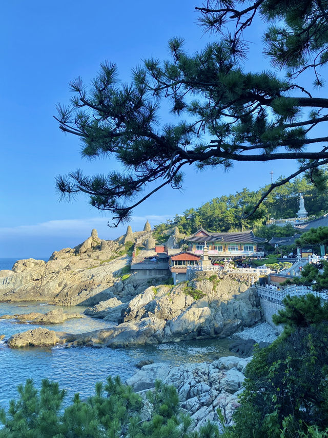 부산여행의 필수코스 기장 가볼만한 곳 해동용궁사💚