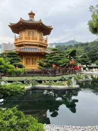 隱藏於香港鬧市的禪意之境：志蓮淨苑，一探港版小京都的絕美秘境