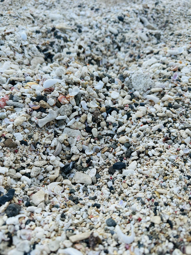 【奄美大島】土盛海岸