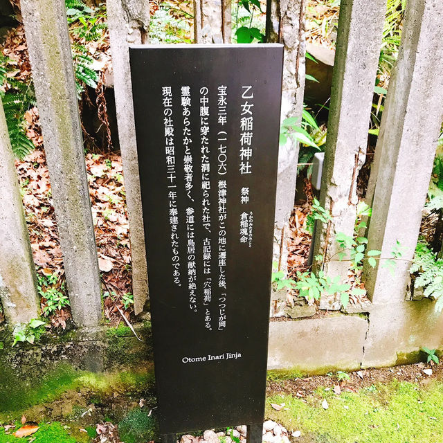 ツツジと千本鳥居が有名！根津神社⛩