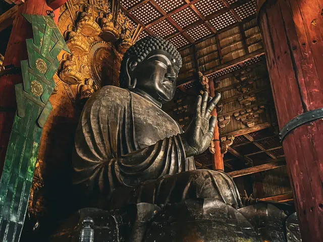 【奈良】魄力滿點、令人嘆為觀止！奈良東大寺的大佛