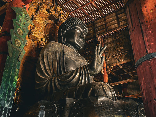 【奈良】迫力満点👏圧巻！奈良の東大寺の大仏様