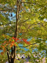 【福島】紅葉とエメラルドグリーンのコントラストが絶景
