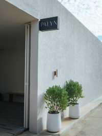 PALYN