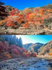 Enchanted Autumn in Korankei Gorge 🍁