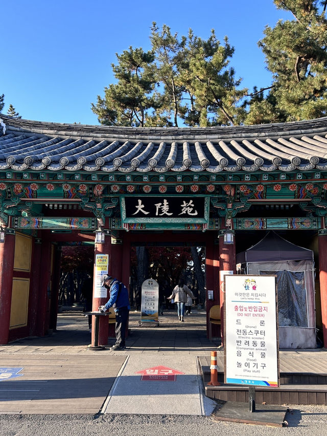 🇰🇷慶州✈️遊走在最美的古墓大陵苑대릉원