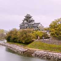 Black Castle Wonder: My Adventure Through Okayama’s Samurai History!
