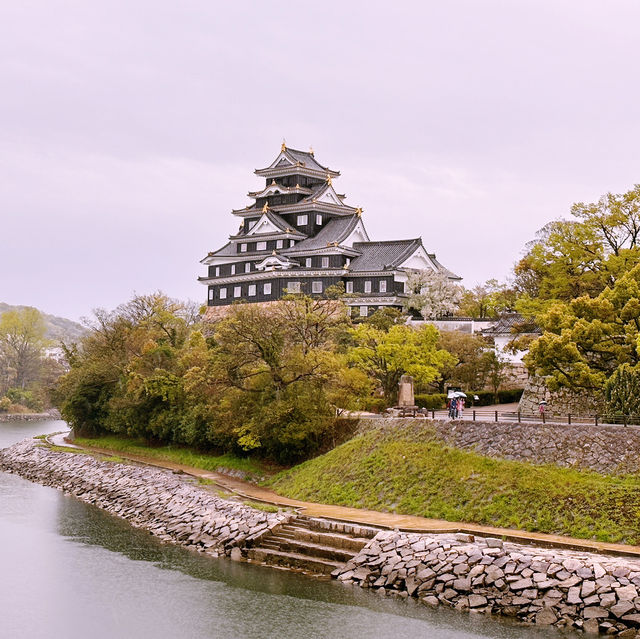 Black Castle Wonder: My Adventure Through Okayama’s Samurai History!