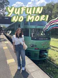 One Day in Yufu via one of the most sceneric train, Yufuin on Mori