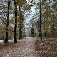 Hidden gem, Bohinj lake