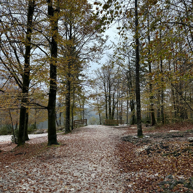 Hidden gem, Bohinj lake