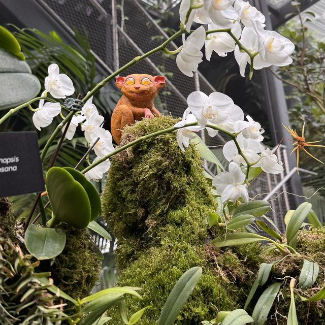 Nature's Palette: Discovering the Latest Blooms at Gardens by the Bay