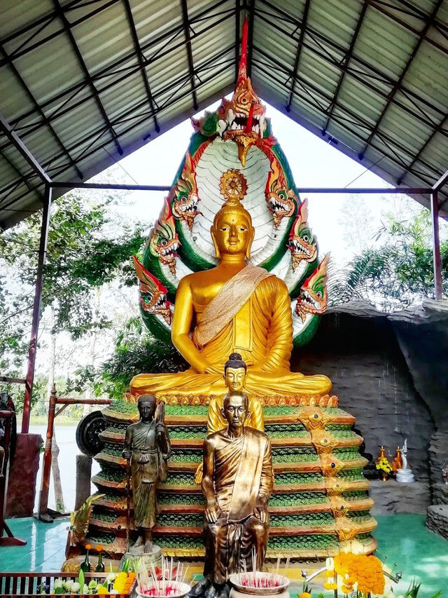 วัดป่าปากโดม @พิบูล
