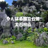 【沖縄】沖縄本島最北端！！！自然のパワースポット🌳
