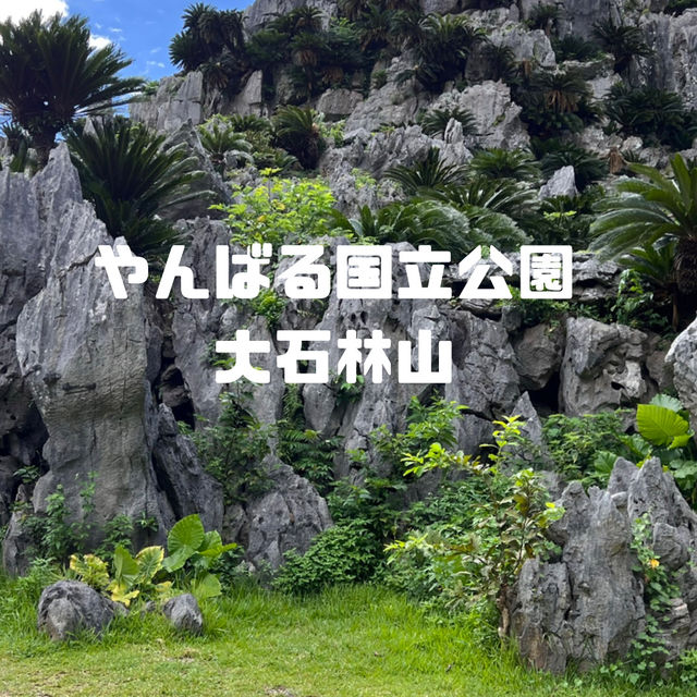 【沖縄】沖縄本島最北端！！！自然のパワースポット🌳