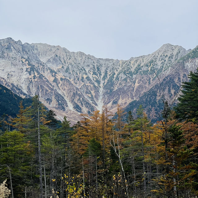 上高地很美 風景如畫