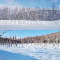 夢幻景觀的雪地