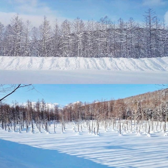 夢幻景觀的雪地