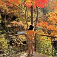 Autumn Hues
