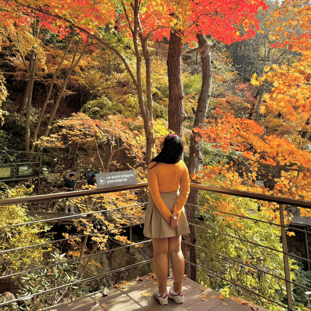 Autumn Hues