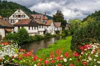 Germany: Where Beer, Bratwurst, and Beautiful Scenery Meet Friendly Faces