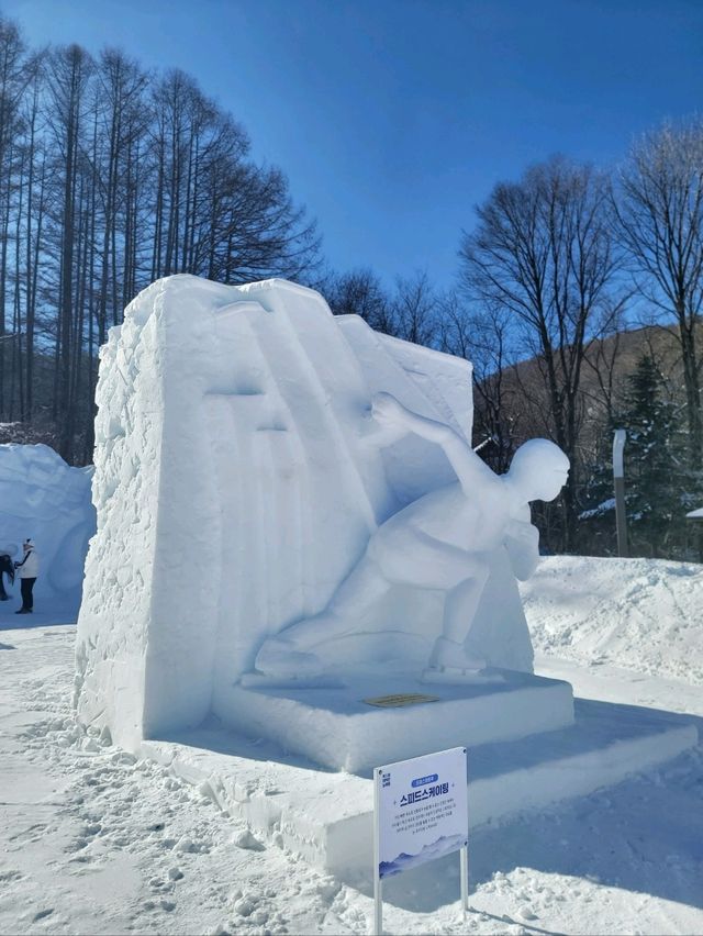 새하얀 눈꽃밭을 맘껏 즐길수 있는 태백눈꽃축제❄️