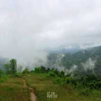 จุดชมทิวทัศน์กิ่วกระทิง (กม.81) แม่วงก์