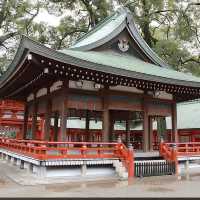 【埼玉】花手水が美しい神社