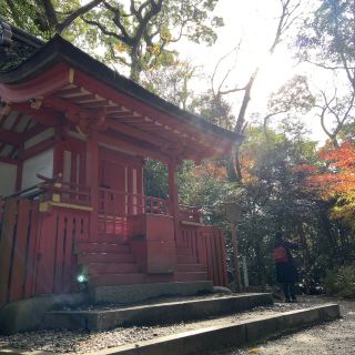 南深科旅遊景點評論 
