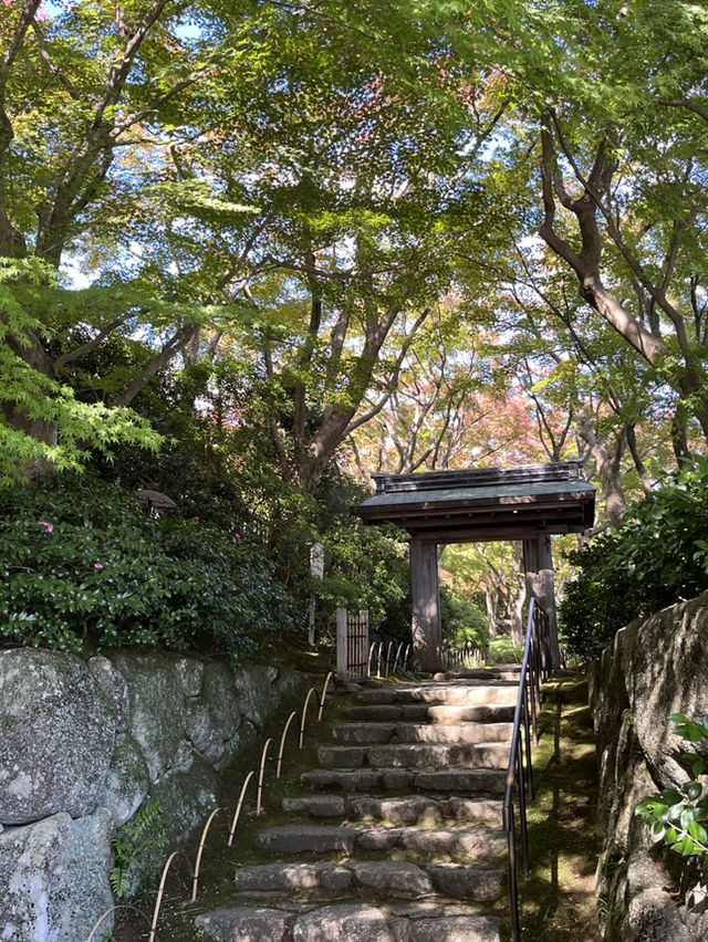 📍熱海　MOA美術館の日本庭園