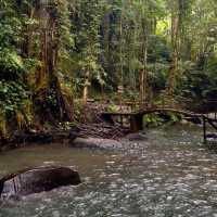 Hidden Gem of Ulu Petanu Waterfall