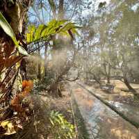 The Enigmatic Black Temple of Chiang Rai