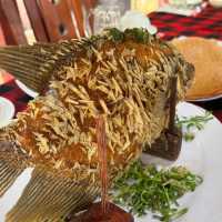 Enjoying and relaxing tour of Mekong Delta 