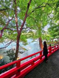 【東京/ラグジュアリー】宿泊者だけが満喫できる✨️都心のど真ん中で楽しむ雲海☁と日本庭園🍵
