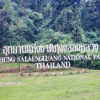 ลานกางเต็น🏕  อช.ทุ่งแสลงหลวง