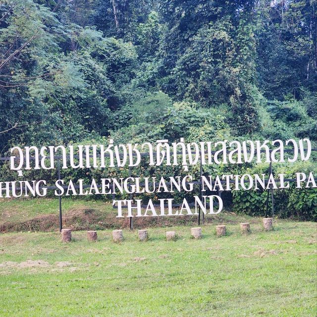 ลานกางเต็น🏕  อช.ทุ่งแสลงหลวง