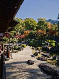 【ここ行って】桜もいいけどモミジもおすすめ‼️豊臣秀吉が残した形見の絶景🍁
