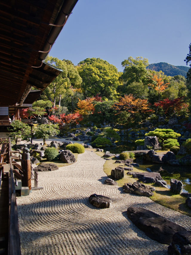 【ここ行って】桜もいいけどモミジもおすすめ‼️豊臣秀吉が残した形見の絶景🍁