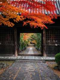 Trip to Sendai, Japan 🇯🇵 