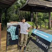เล่นซิปไลน์ น้ำตกตาดฟาน ลาวใต้