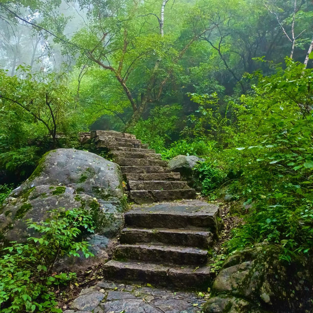秀桐登山道：健行樂園 🏞️🌅