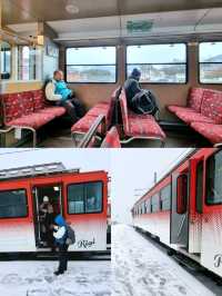🇨🇭 Cogwheel Train Ride to Mt Rigi 